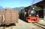 BWB 1991,Lok  Nicki S  No.798.101 Henschel 1941,beim rangieren in Bezau (Archiv P.Walter)