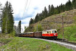 Zwischen Gösing und Annaberg wurde kürzlich ordentlich ausgeholzt. Die Mariazellerbahn schlängelt sich hier fernab jeglicher menschlicher Behausung durch die Wälder. Am 11. Mai 2019 gab es die Gelegenheit, auch dort die in den optischen Zustand der 1970-er/1980-er Jahre zurückversetzte Garnitur, geführt von der E14 der NÖVOG, zu fotografieren.  