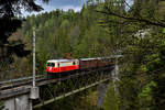 Motivvariation an der Raingrabenbrücke zwischen Wienerbruck und Erlaufklause.