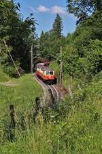 Beim Brandebenwald kurz hinter dem Bahnhof Gösing an der Mariazellerbahn posieren die 1099.11 und die 1099.14 für die Fotografen die am 26.6.2023 im Zuge einer Fotoreise von  Tanago  an diesem Tag bei herrlichem Wetter einige tolle Fotos einfangen konnten.