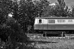 Der Bahnhof Gösing befindet sich noch im sehr  urigen  Zustand mit Schotterbahnsteigen, einer alten Mauer und alten Bänken.
Die 1099.11 wirkt fast wie im Planverkehr vor 40 Jahren, als sie zusammen mit der 1099.14 und mit einem Fotozug am 26.6.2023 hier auf die Kreuzung mit einem Planzug warten.