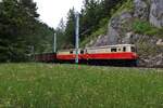 Eine herrliche Blumenwiese kurz hinter dem Klausgrabenviadukt zwischen Gösing und Annaberg passieren am diesigen 27.6.2023 die 1099.14 und die 1099.11 mit dem Fotozug R80963 der mit den