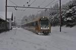 Als R6817 von St. Pölten Hbf nach Mariazell verlassen am 2.12.2023 der ET9 und der ET8 den Bahnhof Mitterbach in Richtung Mariazell.