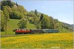 Die 1099 008  Berta  mit dem Loicher Wappen bespannte am 29.April 2010 den aus 3 bunten Waggons bestehenden R 6804  Dirndltaler .