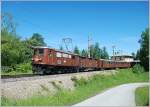 Am 6.6.2010 brachte die 1099 010 den REX 6807  tscherbr  nach Mariazell und fuhr dabei zum Glck auf bei Winterbach vorbei, wo ich sie ablichten konnte.