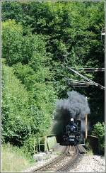 Es war nicht einfach, bei dieser Fotostelle (Ausfahrt Schnautunnel) ein schnes Bild vom Dampf-Panoramic am 1.August mit der Mh.6 zu kriegen.