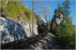 Dampfpanoramic bei der Rckfahrt - Hier die Mh.6 kurz vor Gsing am 3.Oktober 2010.