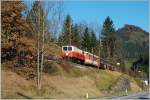 Herbstliches Dirndltal - tief herbstlich zeigte sich sich auch Boding, das am 29.10.2010 von der 1099 004 mit dem R 6835 durchfahren wurde.