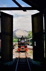 Dampflok 13  Uta  vor dem Lokschuppen der Gurktalbahn. 
Datum: 26.07.1986