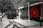 Dampflok 699.101 Dh2t Franco-Belge aus dem Jahr 1944 der Gurkthalbahn beim Dampftag 2009.
2.8.2009 Pckstein-Zwischenwssern