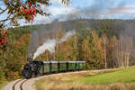 Mh.1 (399.01) am 9.10.2020 nahe Abschlag am sogenannten Waldviertler Semmering.