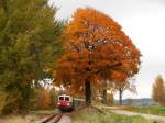 2095.05 - Fotozug von Gmnd nach Gro Gerungs kurz vor Alt Weitra mit herbstliche Stimmung.