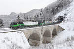 193.736+203 fahren mit einen Rs-GAG bei frischen Schnee über den Kartnerkogel-Viadukt am Wolfsbergkogel.