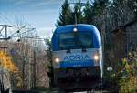 Ziemlich berraschend kam mir kurz vor Klamm Schottwien 1216 920 der Adria Transport entgegen. Die Aufnahme entstand am 05.11.2010.