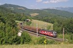 1116.138  Heeressport  mit G-46765 bei der Steinbauer-Wiese am Eichberg. 27.7.13