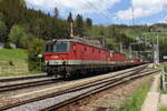 Ein kurzer Kreuzungshalt wegen Eingleisigkeit zwischen Breitenstein und Semmering legten die 1144 212 und 1144 057 mit dem DG54703 in Breitenstein ein bevor die Reise nach Graz am 12.5.2022