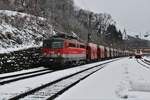 Mit dem LGAG47407 von Leoben Donawitz kommend rollt am 22.1.2023 die 1142 667 in den Bahnhof Spielfeld-Straß ein.