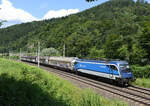 Die 1216 233 brachte im August 2024 den Papierzug 62754 von Forhnleiten nach Graz Vbf., und wurde dabei von mir in Badl fotografiert.