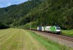 Der WLC-Containerleerzug 43623 wurde am 10. August von der 1216 954  Hödmayr  und der 1216 950 nach Spielfeld-Straß gebracht. Aufgenommen unweit der ehemaligen Haltestelle  Pernegg Stausee .

