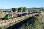 193 284 war am 11.10.2019 mit einem Güterzug auf der Neubaustrecke im Tullnerfeld unterwegs.