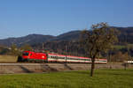 EC 164  Transalpin  kurz vor Wolfurt.