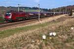 railjet und Frhlingsboten: 1116 204 an der Spitze dieses  railjet  Richtung Westen. Eichgraben-Altlengbach, am 28.03.2012.