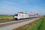 1116 130 ist am 20.10.2013 mit dem IC 548  Erlebnisregion Tennengau 
bei Marchtrenk ber die Westbahn gerauscht.