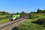 1016 014 mit einem Güterzug am 18.06.2019 bei Laaber.