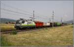 CAT Taurus 1116 142 fhrt mit einem Gterzug von Bruck an der Mur nach Zeltweg.
25.06.2008