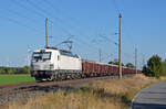 Mit einem Hochbordwagenzug am Haken rollt 193 513 der ELL am 22.09.24 durch Wittenberg-Labetz Richtung Dessau.