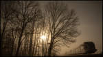 Wintersonne und Nebel ,.... 
Das einzige das an den Winter erinnert ... 
7.März 2020 bei St. Peter im Sulmtal 