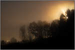 Das Spiel mit Nebel und Sonne hat mich seit anbeginn meiner  Knipserei  fasziniert. 
Immer wieder entdeck man andere Lichtspiele wie an diesem November Morgen bei Dietmannsdorf. 
6.11.2020