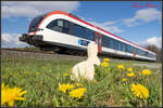 Frohe Ostern allen hier ! 
LG KH . 

EIn GTW 2/8 auf dem Weg nach Wies Eibiswald kurz vor St. Martin im Sulmtal Bergla. 16.04.2022