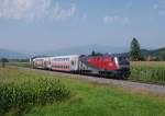 GKB 218 256 war am 27.08. 2011 als SREX 4370 von Wies über Werndorf nach Graz unterwegs. Da die 218 217 sowie die 2016 903 schadhaft sind, ist die 218 256 auch jenseits der gewohnten Umläufe unterwegs, und kann daher auf  neuen  Stellen festgehalten werden.