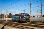 Kalsdorf. Die farbenfrohe 193 868 von LTE leistet hier am 03.03.2025 Verschubarbeiten im Bahnhof Kalsdorf.