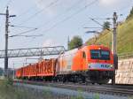 Vllig berraschend fr mich ist die Rts-Lok 1216 902  mit einem Holzganzzug am 13.08.2007 in Wartberg/Kr.