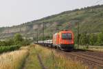 1216 902 mit einem Bauzug am 30.06.2012 bei Thngersheim.