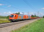 1216 903 und 2016 906 sind am 17.08.2014 bei Marchtrenk
über die Westbahn gerollt.