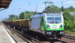 SETG - Salzburger Eisenbahn Transport Logistik GmbH mit der seit Januar 2019 angemieteten Rpool  187 302-5  [NVR-Nummer: 91 80 6187 302-5 D-Rpool] und einen Stammholz-Transportzug am 23.06.19 Berlin-Hirschgarten.
