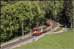 Regionalzug 8605 pfeift aus dem Wald heraus , die hier noch größten Teils  Nicht Technisch   gesicherten EIsenbahnkreuzungen und die damit verbundenen Pfeifstellen machen es einem Fotografen