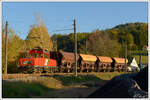 Eine einzige Elektrolokomotive, nämlich E-41, kommt ab und zu auf der Gleichenberger Bahn zum Einsatz.