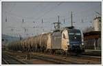 WLB 46681 von Passau nach Spielfeld-Stra, war am 28.2.2008 mit ES 64 U2 - 019 bespannt.