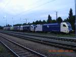 Jetzt sind es gar schon fnf; in immer greren Rudeln treten neuerdings die Lokomotiven der Wiener Lokalbahnen auf dem Donauuferbahnhof in Wien auf.