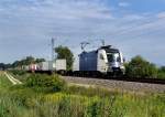 182 524 mit einem Containerzug am 28.07.2007 unterwegs bei Langenisarhofen.