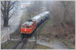 2143.21 der Wiener Lokalbahnen AG, am Karsamstag des Jahres 2013 fr eine Fotofahrt mit BB Pflatsch versehen, aufgenommen in der Wiener Lobau am 30.3.2013.

