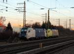 ES 64 U2 - 021 der Wiener Lokalbahn in Mnchen Pasing (03.12.2006)