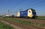 ES64U2-060 der WLB unterwegs mit ihrem Containerzug zwischen Oftering und Hrsching. Aufgenommen am 25. April 2009.