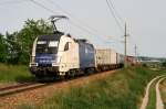 29.5.08 Der Alltag der Wiener Lokalbahn sind die Containerpendler zwischen Deutschland und sterreich. Fast alle Zge verkehren ber die Westbahn. Da im Abendverkehr auf der Westbahn keine Trassen mehr frei waren fuhr der abendliche TEC 42918 von Wien Donaukaibahnhof nach Hamburg Waltersdorf ber die Franz Josefs- und Tullnerbahn. Bespannt wurde der TEC 42918 von der ES64U2 024.