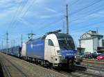 ES 64 U2-022 der WLB  zieht einen Autotransportwagenleerzug bei Marchtrenk Richtung Osten;100713