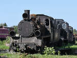 Im Bild die 1953 bei Fablok gebaute Schmalspur-Dampflokomotive PX48-3910, dahinter die Dampflokomotiven Tx7-3502 und PX48-3908. (Koszalin (Köslin), September 2024)